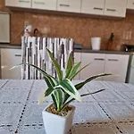 Mara Apartment *