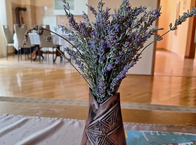 公寓 Mara 扎达尔